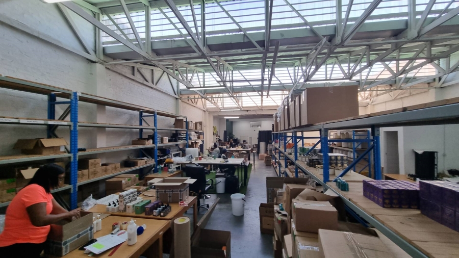 To Let Commercial Property for Rent in Woodstock Western Cape
